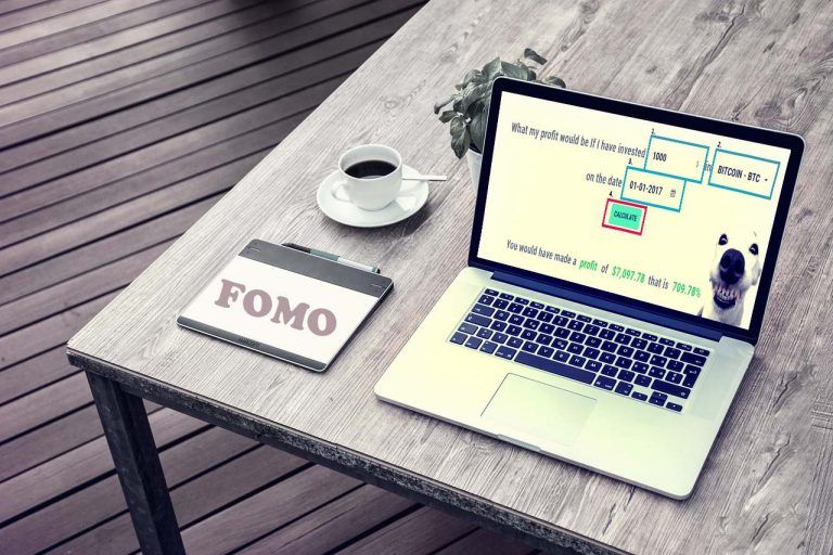 FOMO Crypto Calculator 'What if' - Calculates Your ...