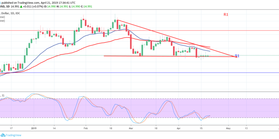 Silver Xagusd Price Consolidates Expecting A Breakout At 14 Level - 