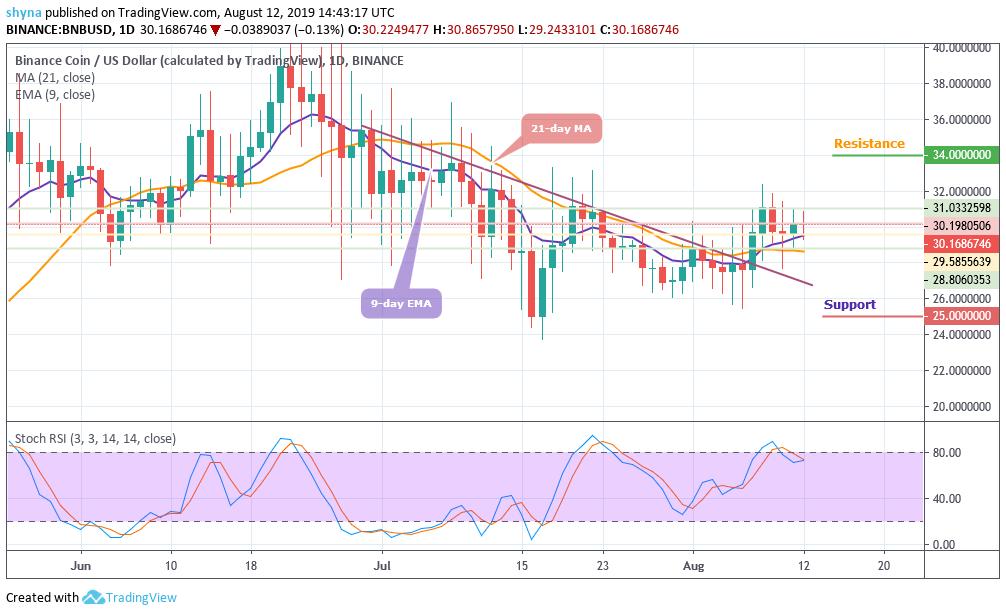 BINANCE COIN (BNB/USD): BNB Is Currently Consolidating Gains above the ...