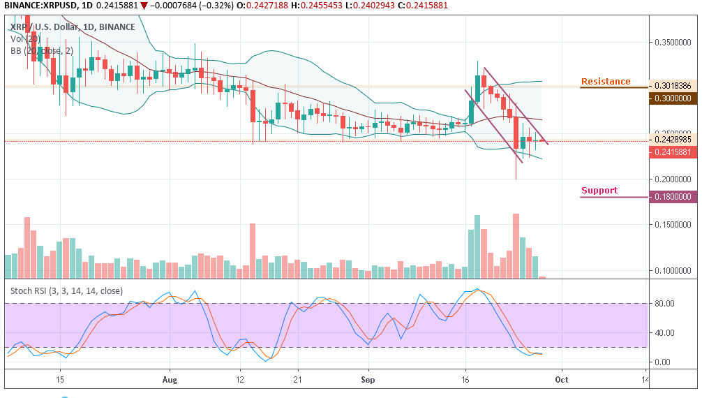 XRPUSD - Daily Chart