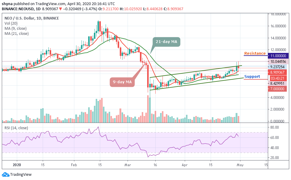 Neo Price Analysis Neo Usd Price May Surge As The Coin Faces The South Cryptovibes Com Daily Cryptocurrency And Fx News