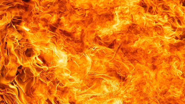 Binance Plans To Burn BNB Worth $37B From 2017 ICO – Cryptovibes.com ...