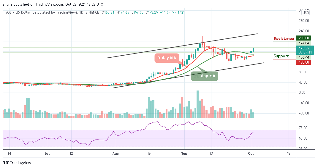 solana crypto price usd