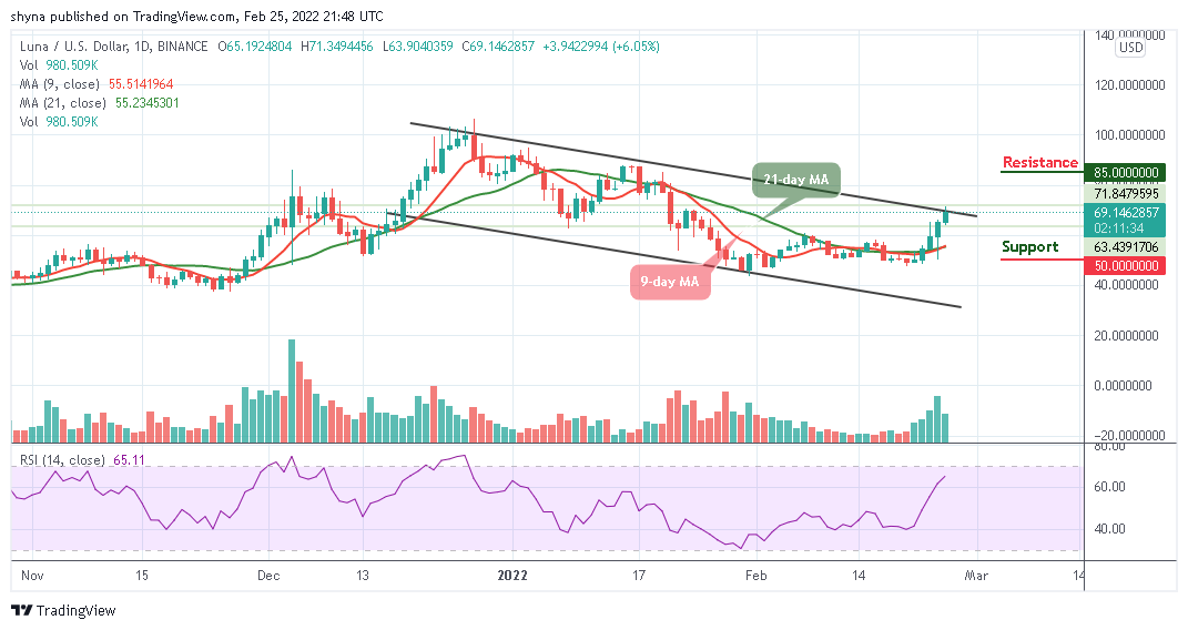 Terra Usd Price