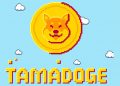 Baby Doge Price Prediction: Is Tamadoge (TAMA) The Best Meme Coin Investment Today?